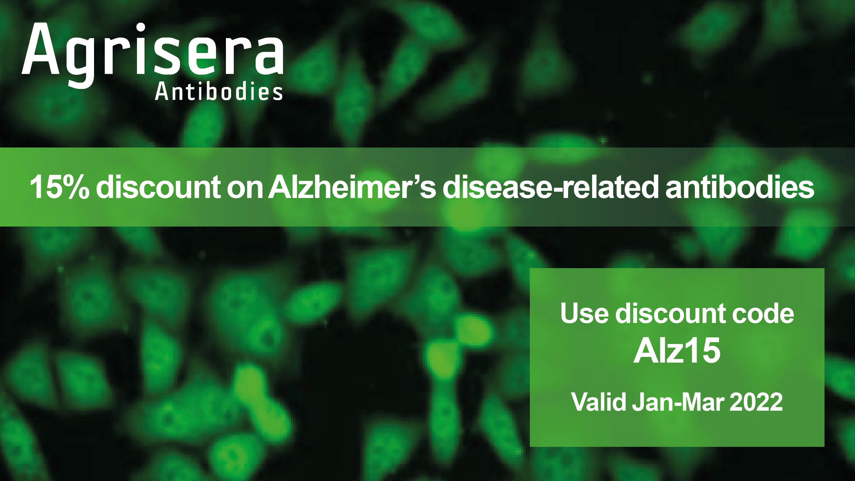Agrisera Alzheimer's Disease Antibody Promo